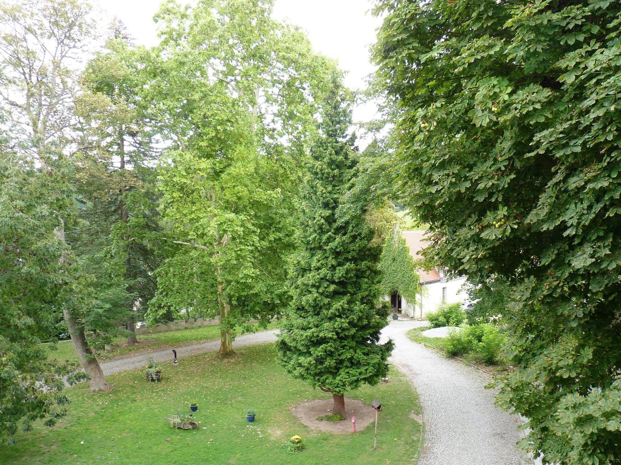Hotel & Restaurant Schloss Weissenburg Uhlstadt-Kirchhasel Ruang foto