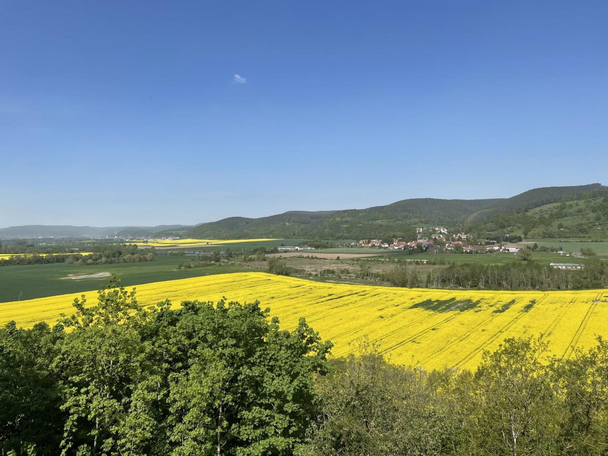 Hotel & Restaurant Schloss Weissenburg Uhlstadt-Kirchhasel Ruang foto